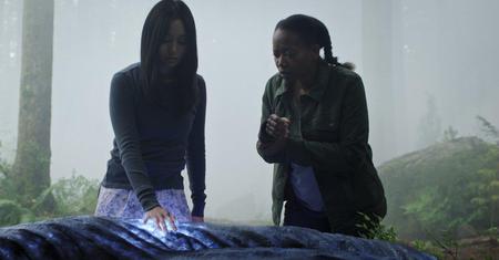 Picture of the author