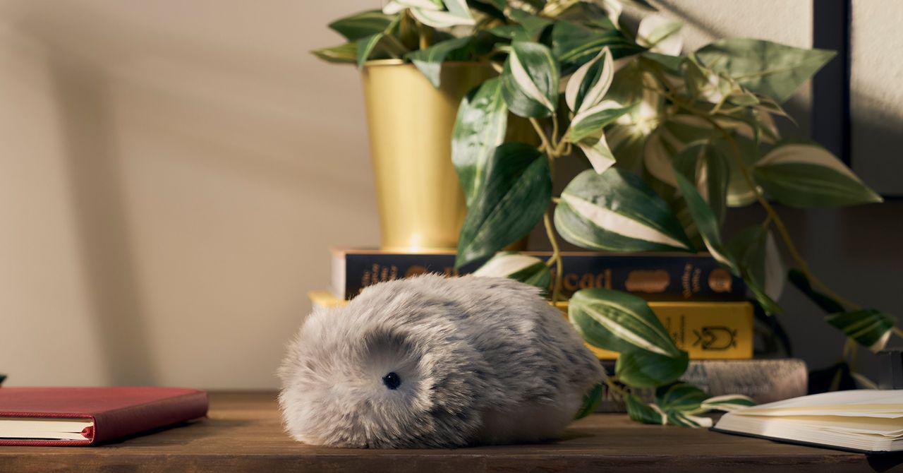 Casio’s Fluffy AI Robot Squeaked Its Way Into My Heart