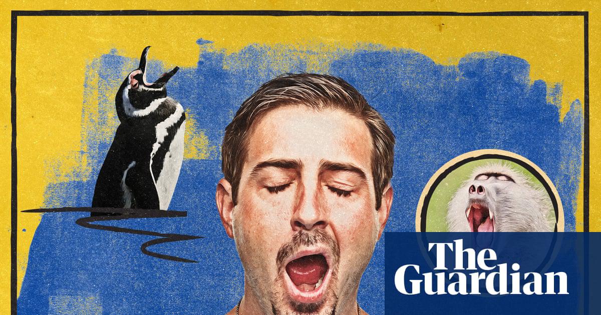 Why do we yawn? It’s almost certainly not for the reason you think