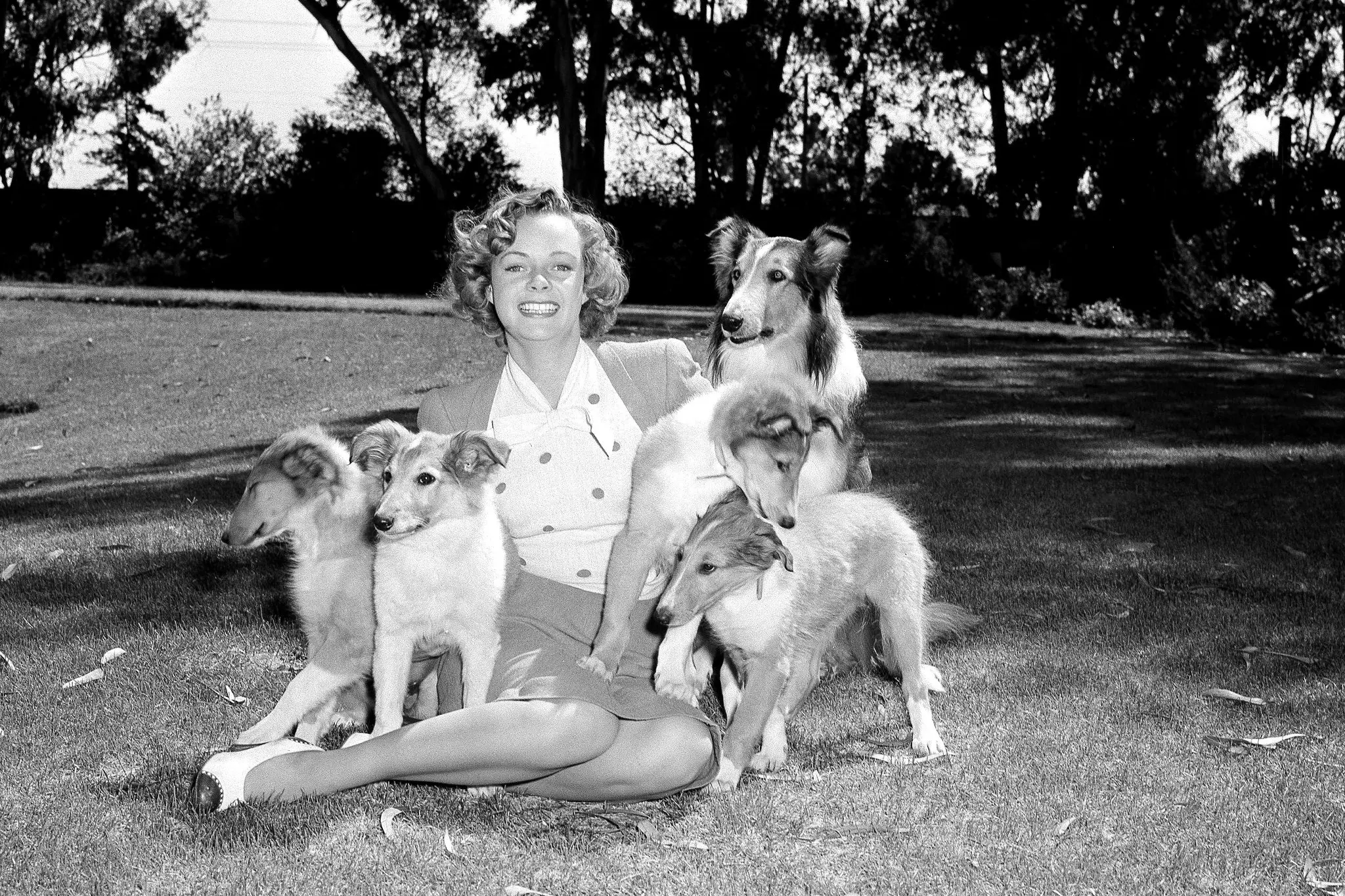 June Lockhart with Lassie and his offspring on the set of the movie &ldquo;Son of Lassie&rdquo; in 1944. More than a decade later, she would join the cast of the &ldquo;Lassie&rdquo; television series.