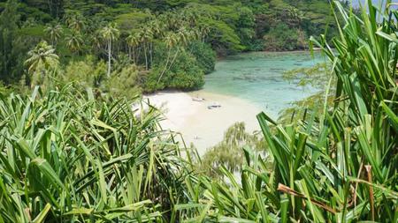 Picture of the author