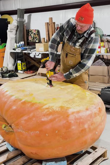 Picture of the author