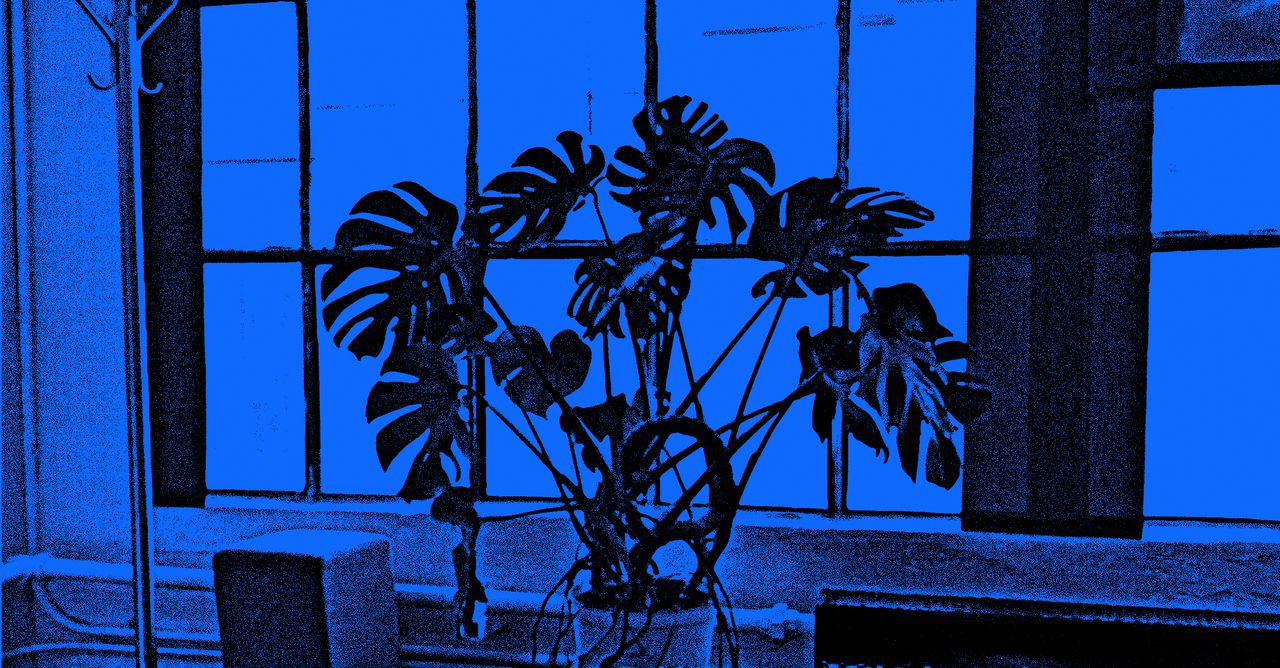 The Argument for Letting AI Burn It All Down