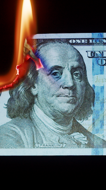 It’s Cockroach-Harvesting Time