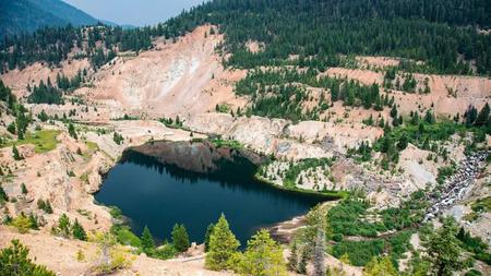 Picture of the author