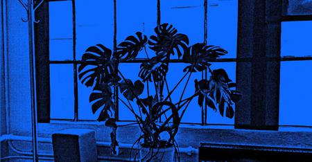 Picture of the author