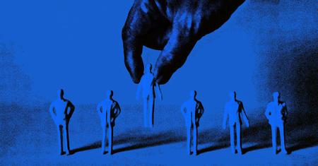 Picture of the author