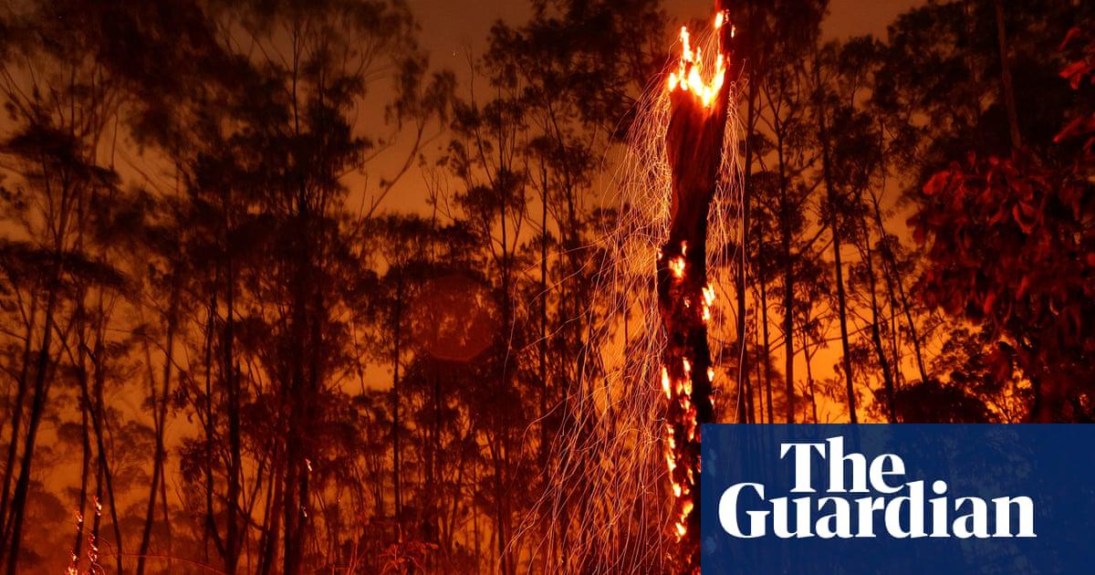 A wildfire in an area of Brasília national park in 2024. Heads of government will meet in Brazil next week to discuss the climate crisis before the Cop30 summit in November.