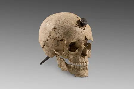 Picture of the author