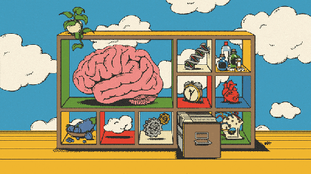 Picture of the author