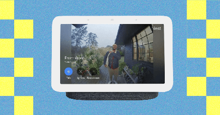 Picture of the author