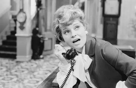 Picture of the author