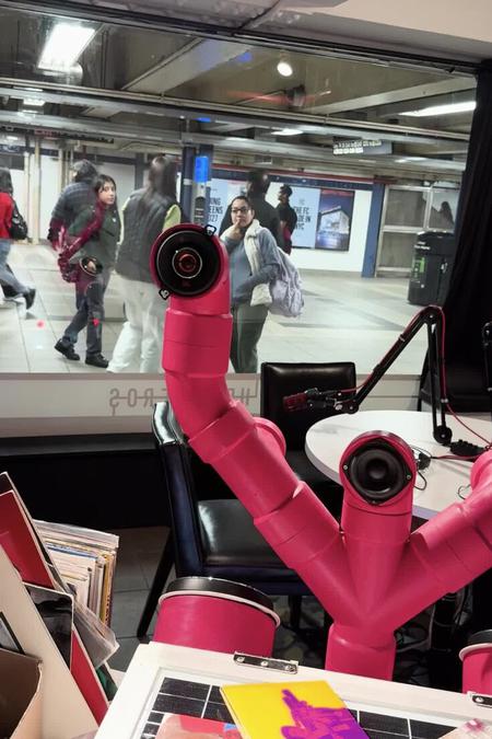 Picture of the author