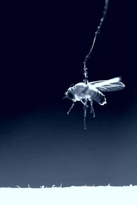 Picture of the author