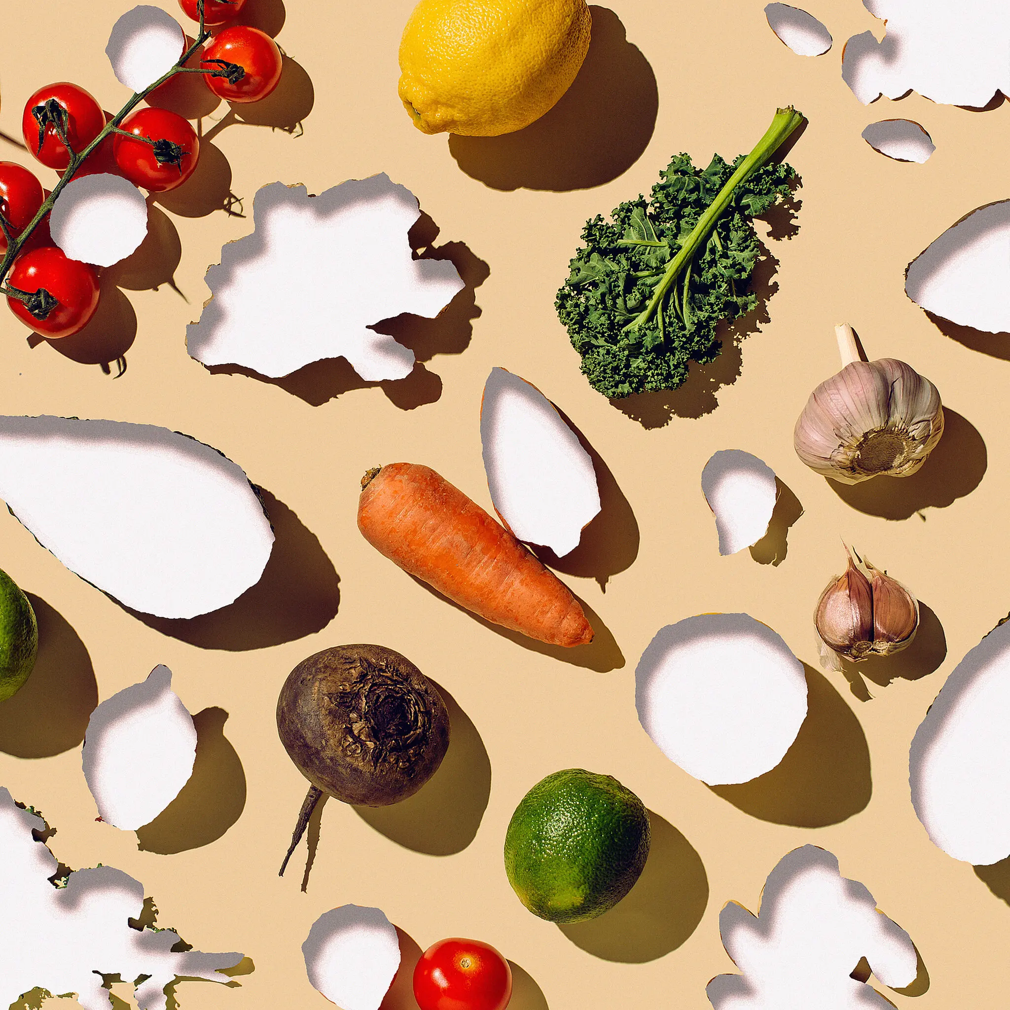 How Will I Feed My Family Now?