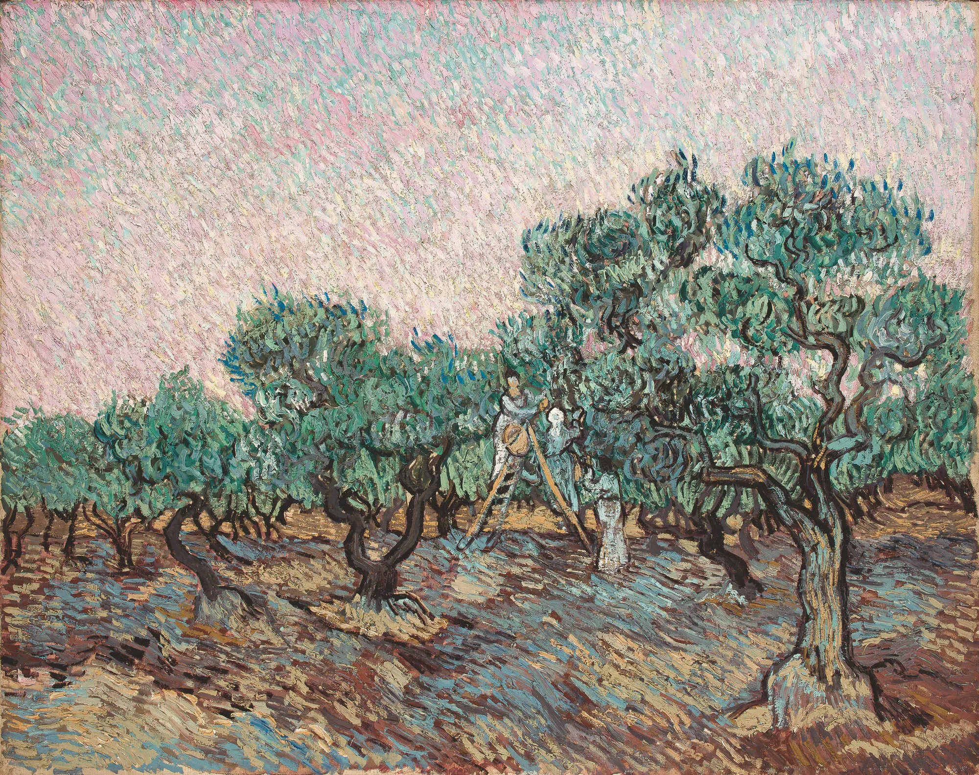 “Olive Picking,” painted by Vincent van Gogh in 1889, was one of several versions of the scene he created.