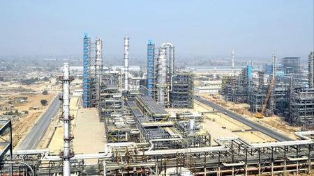 Picture of the author