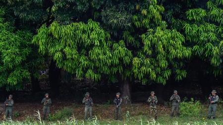 Picture of the author