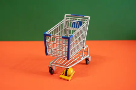 Picture of the author