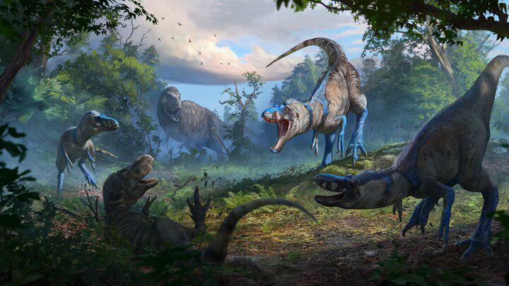<i>Nanotyrannus</i> was long thought to be the very prey it's shown attacking in the illustration above, a young <i>Tyrannosaurus rex</i>. New evidence suggests it was a different class of dinosaur. 