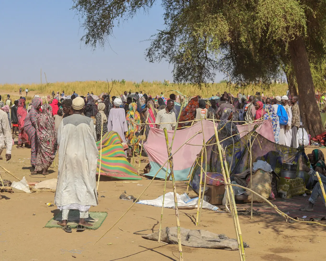 The World Has Again Failed to Prevent Atrocities in Darfur