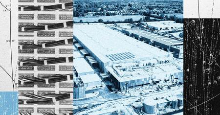 Picture of the author