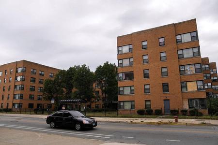 Picture of the author