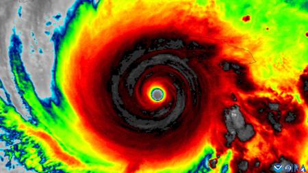 Picture of the author