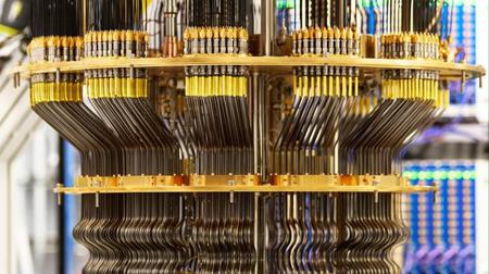 Picture of the author