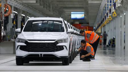 Picture of the author