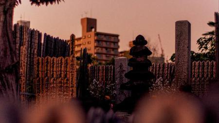 Picture of the author