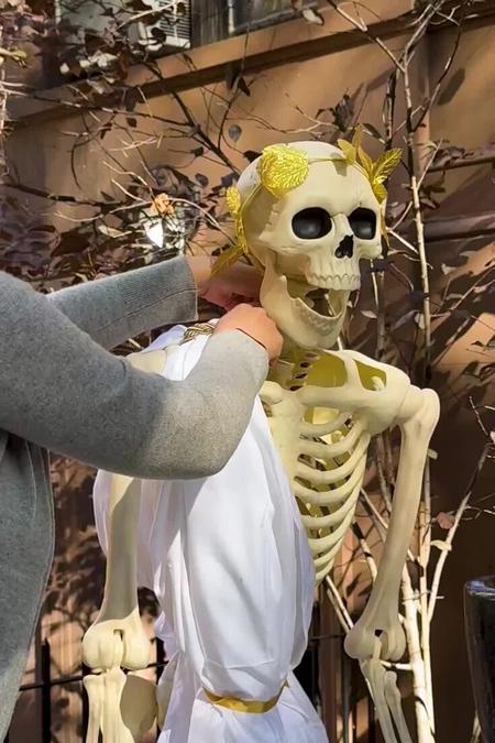 Picture of the author