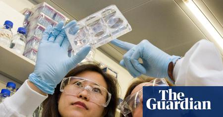 Picture of the author