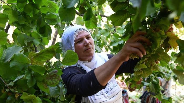 Nutella maker in hazelnut stand-off with Turkish dealers