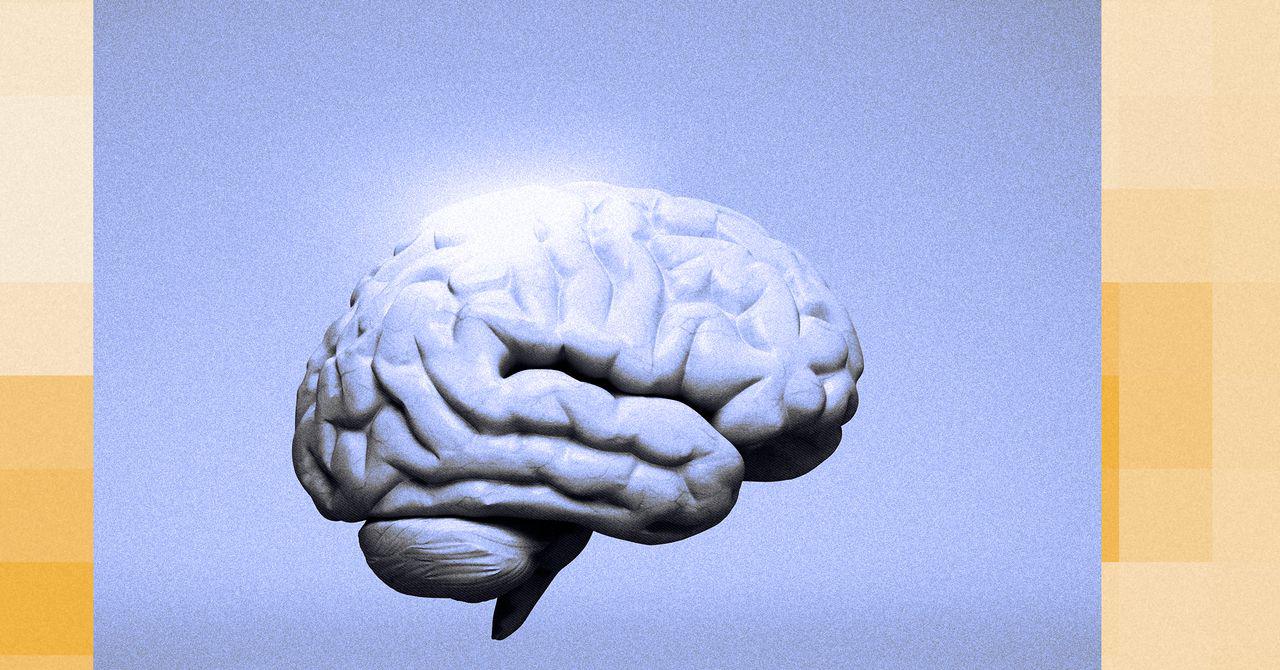 The Man Who Invented AGI