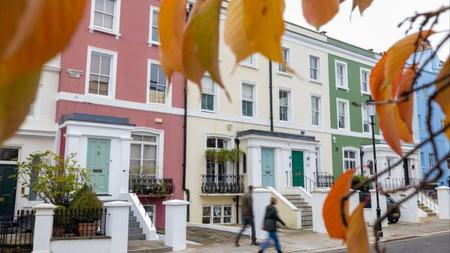 Picture of the author