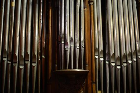 Picture of the author