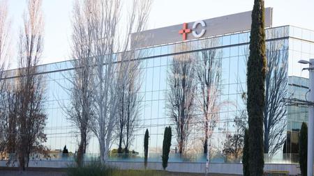 Picture of the author