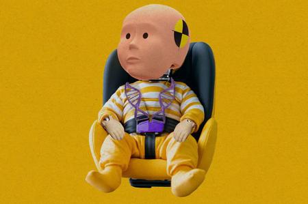 Picture of the author