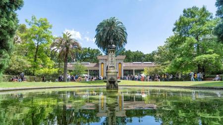 Picture of the author