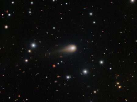 Picture of the author