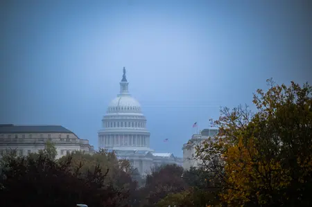 Picture of the author