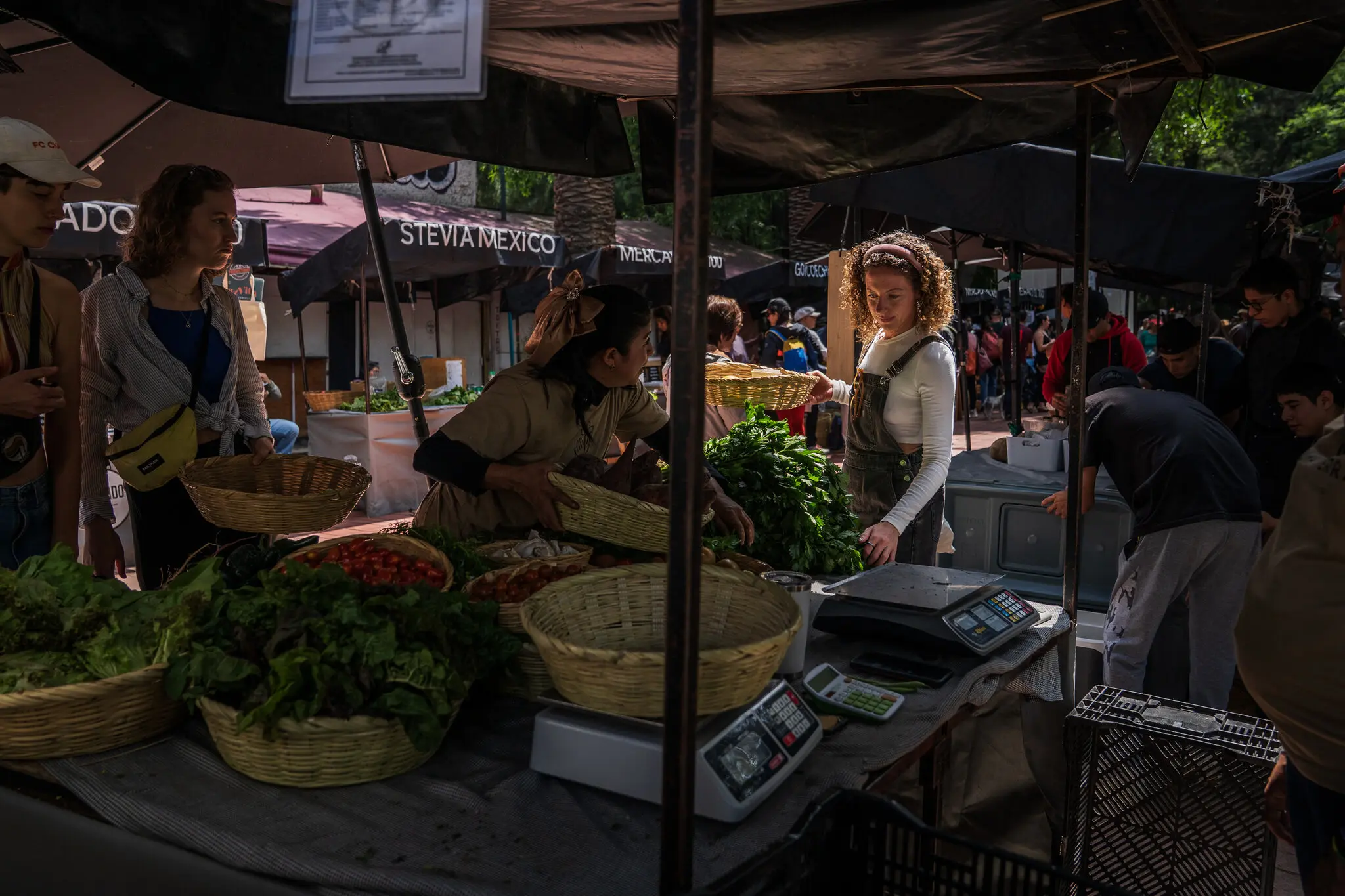 Hannah McGrath, an American who moved to Mexico City, shopping at a farmers’ market in the Roma neighborhood.