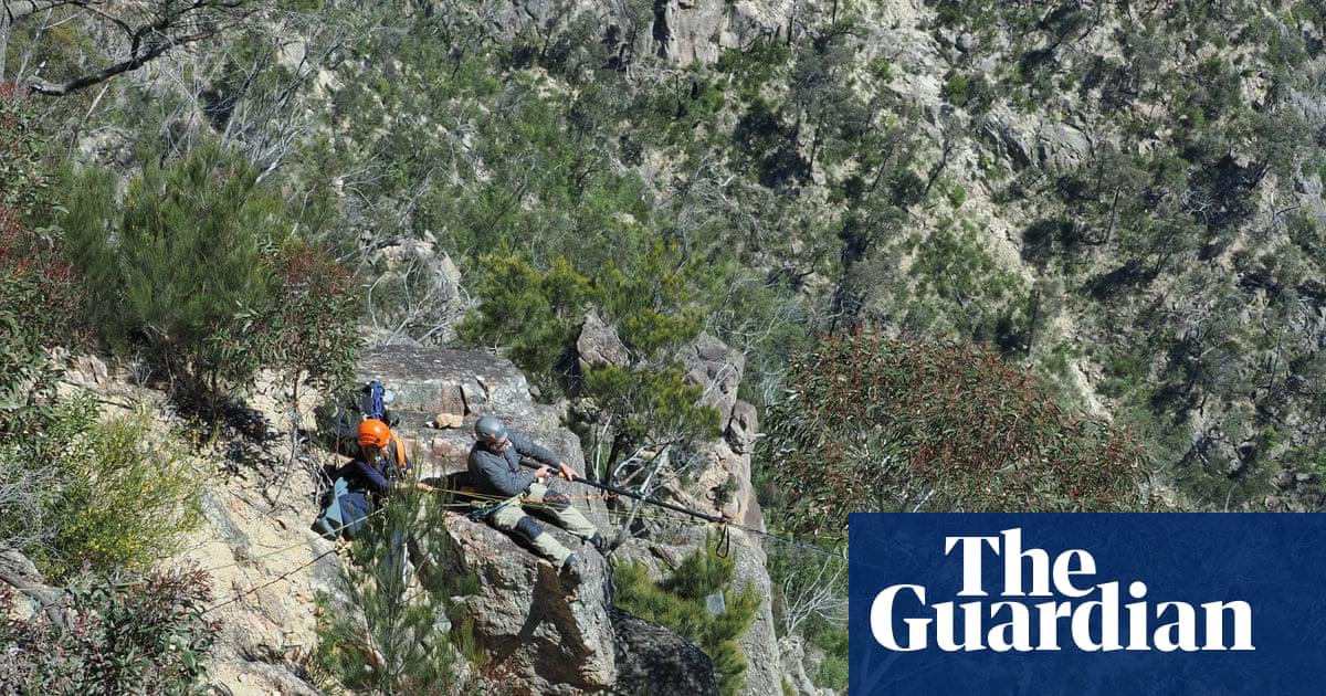 ‘We had to tie two ropes together because they weren’t long enough.’ Amy Downie and Ollie Sherlock from Royal Botanic Gardens Victoria abseil down a cliff in Wadbilliga national park in southern New South Wales.