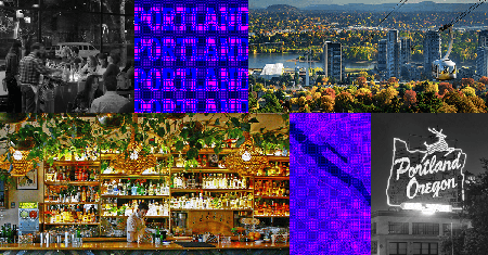 Picture of the author