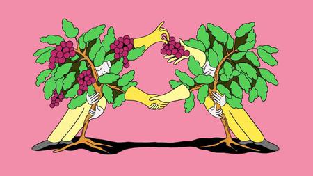 Picture of the author