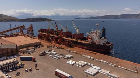 Picture of the author