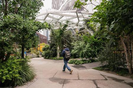 Picture of the author