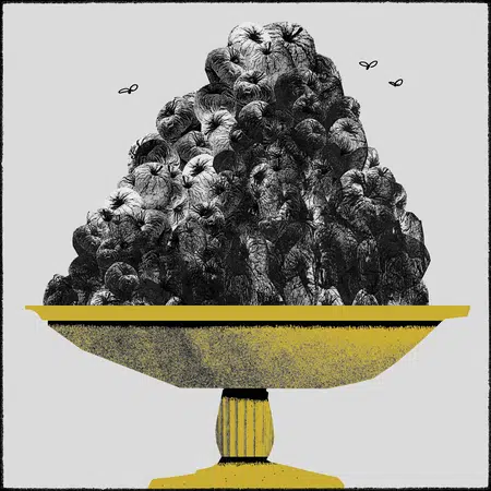 Picture of the author