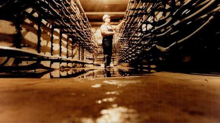 Picture of the author